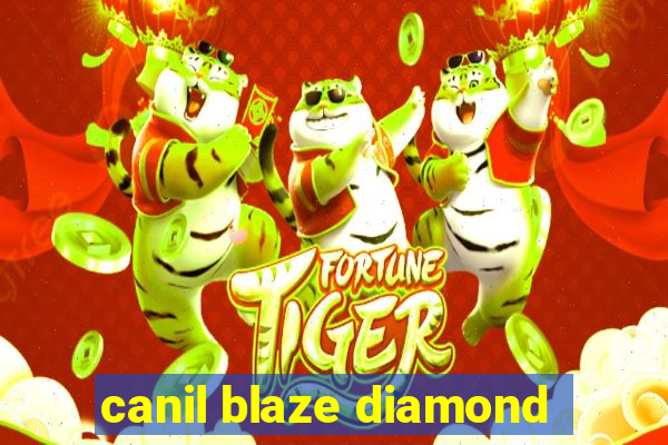 canil blaze diamond